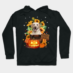 Yellow Labrador Halloween Pumpkin Fall Bucket Hoodie